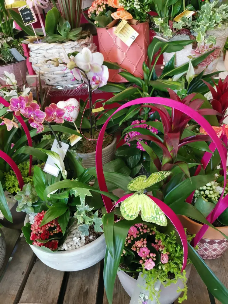 Livraison de fleurs à Bourg-Madame