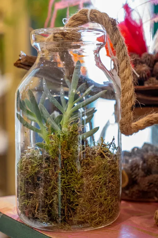 terrarium decoration